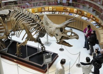 Chuyen Gi Xay Ra Vao Ngay Khung Long Tuyet Chung