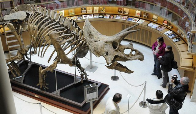 Chuyen Gi Xay Ra Vao Ngay Khung Long Tuyet Chung