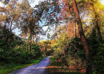 Kham Pha Rung Phong La Do Tam Ban