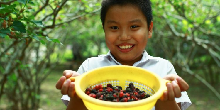 Logo Dau Tam Hoi An 08 1554280265955129642771