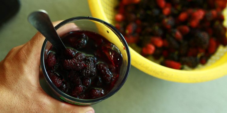 Logo Dau Tam Hoi An 10 1554280268683239903824