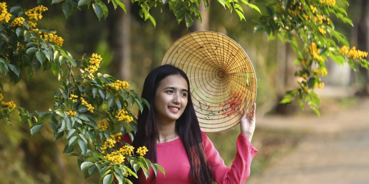 Mua Hoa Sua Vang Dep Nhu Tranh O Xu Quang