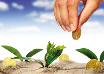 “Tiền nhiều để làm gì?”: Những bài học về tiền bạc mà trường học không dạy bạn.