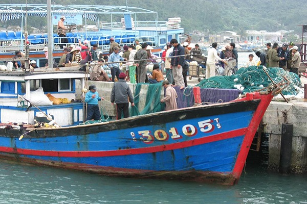 Tiếng kêu vọng về từ những cảng cá miền Trung: Đừng đẩy ngành đánh bắt thủy hải sản vào đường cùng!
