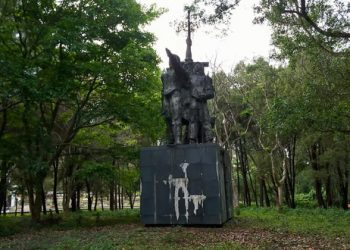 Tuong Dong Sy Nguyen Tung Chon Ve Yen Nghi Canh Dong Doi 1