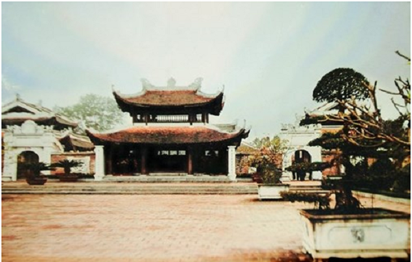 Tự 3