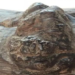 C1
