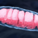 C1